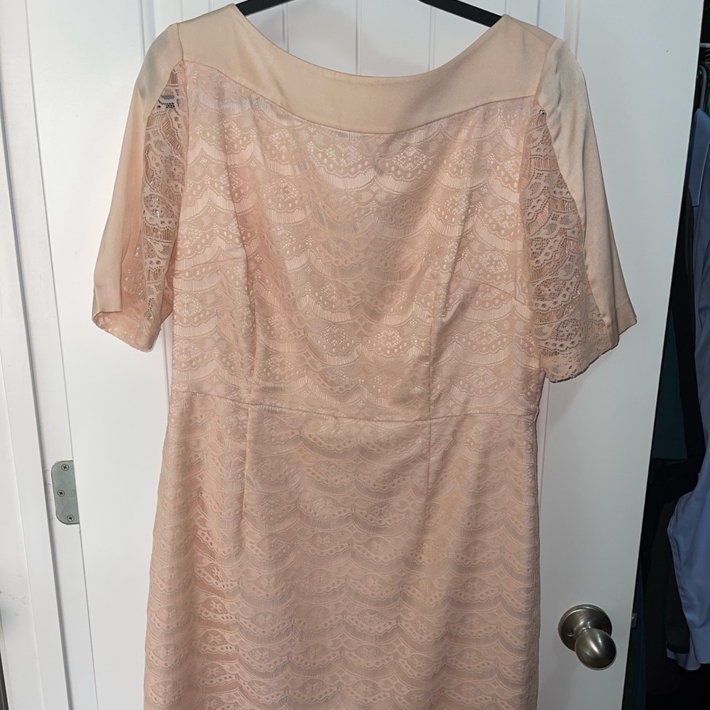 Pink Lace Dress